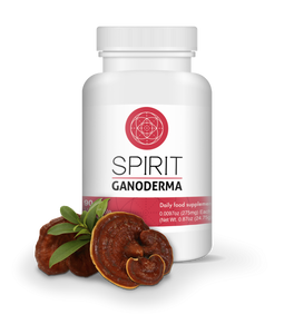 Ganoderma daily supplement