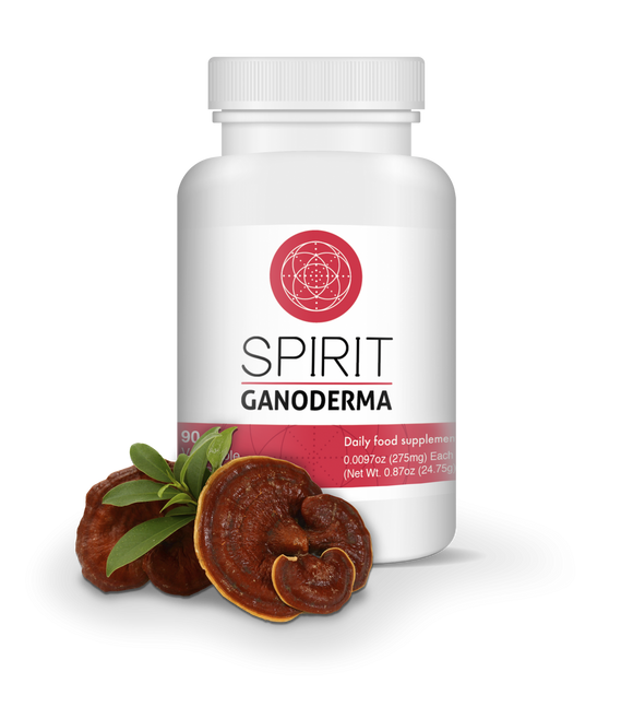 Ganoderma daily supplement