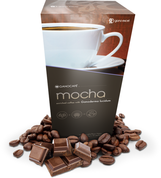 Mocha_grande.png?v=1635973144